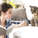 Преимущества кошки для одиноких людей