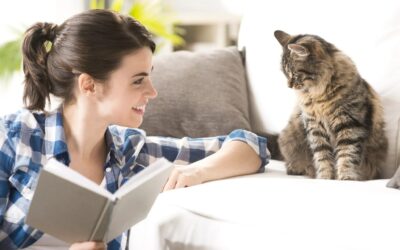 Преимущества кошки для одиноких людей