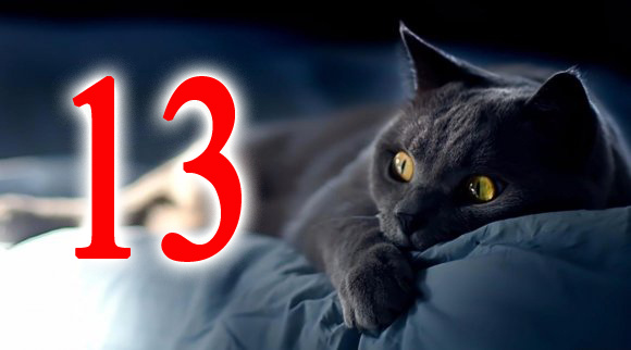 число 13